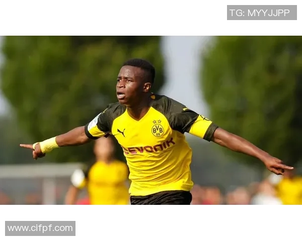 足球明星代言耐克的巨额费用背后隐藏的商业秘密与市场策略分析 足球明星代言耐克的巨额费用背后隐藏的商业秘密与市场策略分析