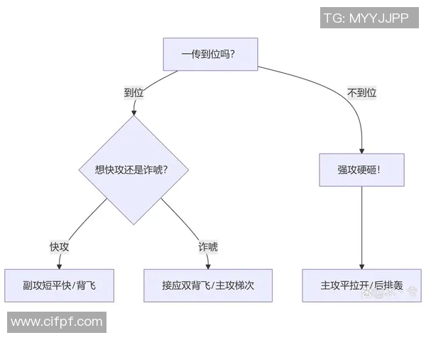 武汉排球队的整体压制打法深度分析与战术解析