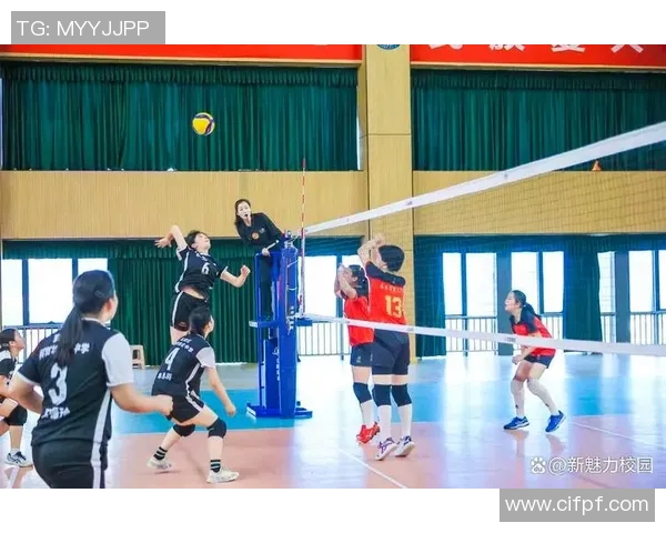 南京排球队最新比赛经验分享排球爱好者必看TOP10技巧解析 南京排球队最新比赛经验分享排球爱好者必看TOP10技巧解析