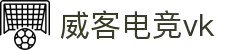 威客电竞(vkgame)-为竞技而生